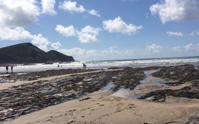 FOMO and doing business your way: lessons from a month under canvas